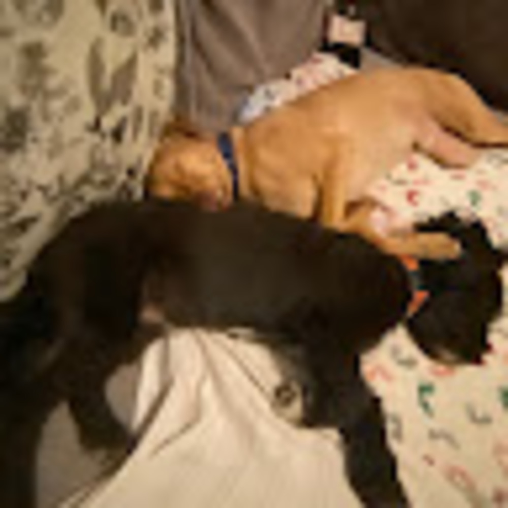 Meet your Posher, Ashanti